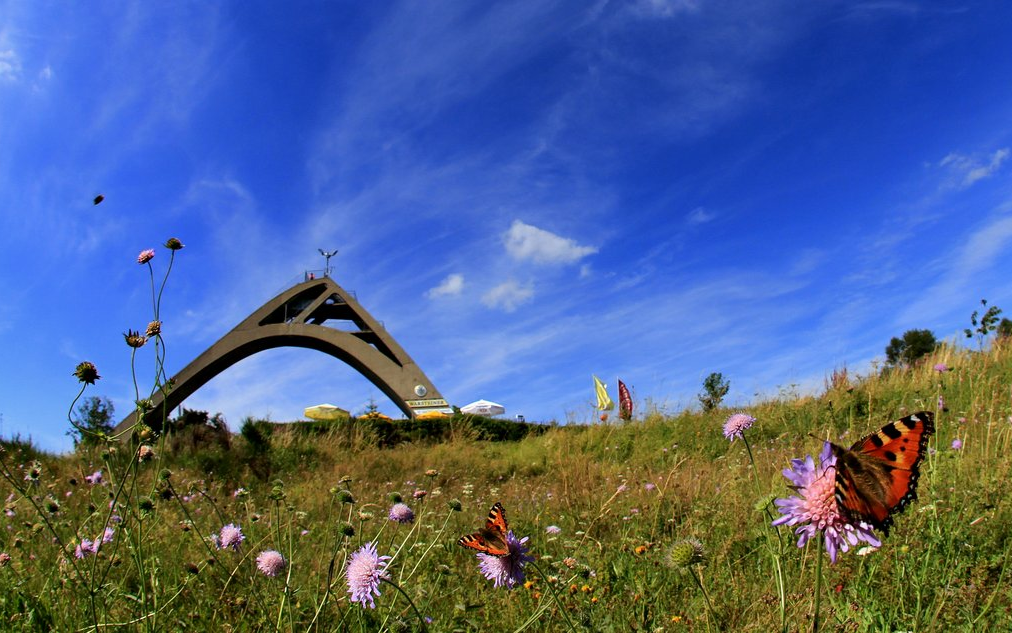 Die St. Georg Sprungschanze mit einer Blumenwiese und Schmetterlingen im Vordergrund.