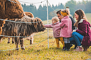 Eine Familie mit zwei Kindern hockt vor einem Weidezaun und streichelt eine Kuh an der Schnauze.