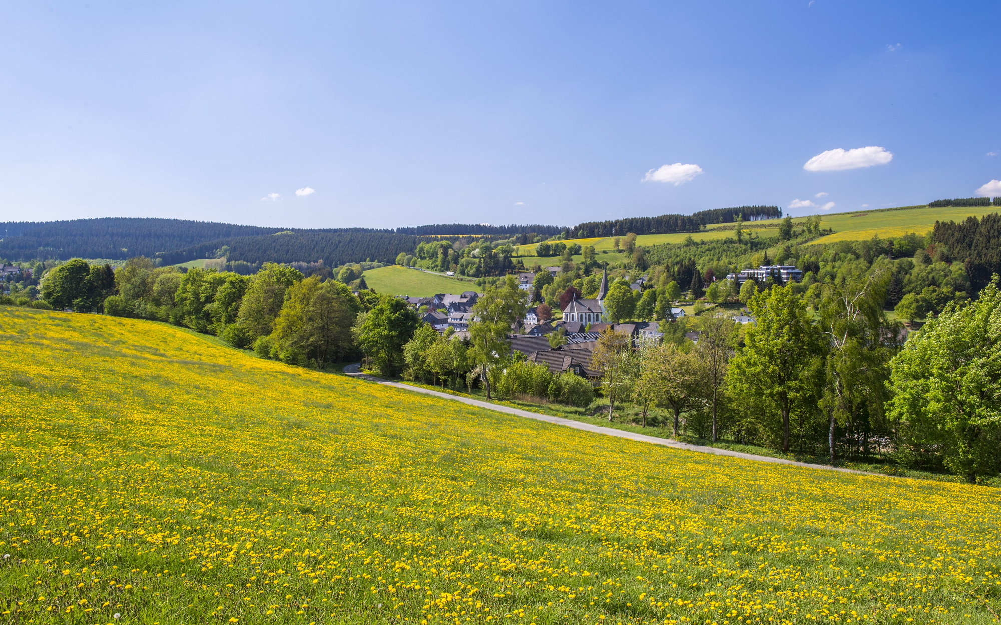 Ein Teil der Ortschaft Grönebach inmitten von Wiesen und Wäldern.