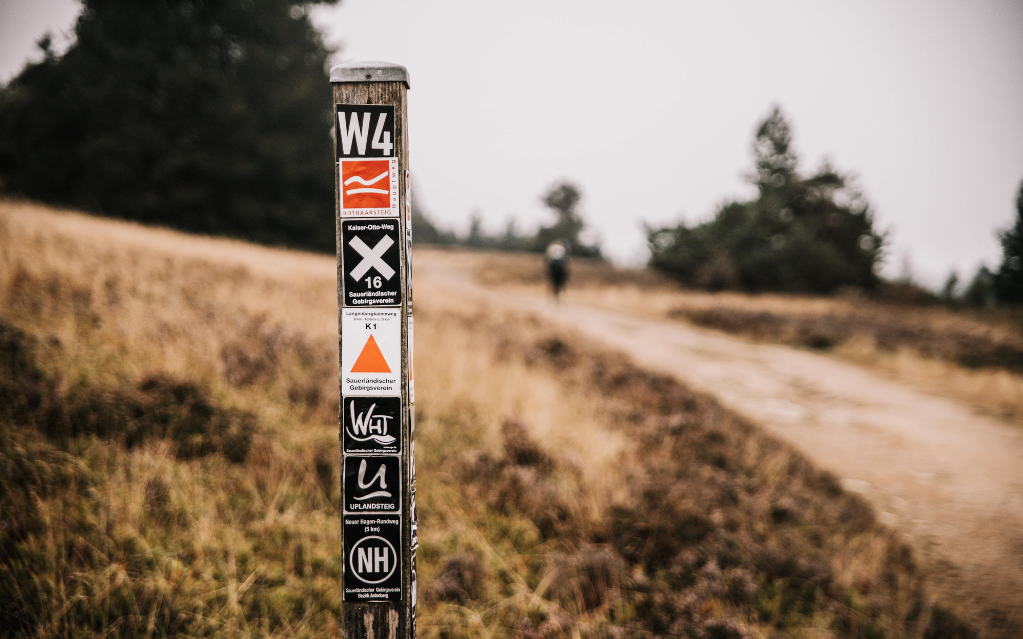 Ein Wegweiser auf der Hochheide in Niedersfeld.