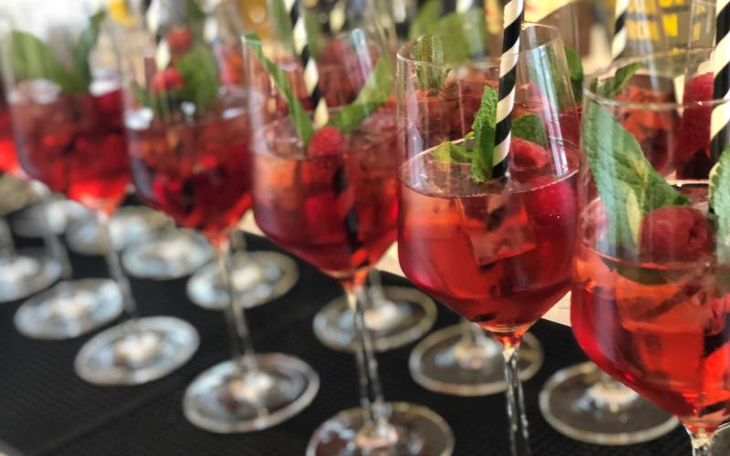 Eine Reihe von Cocktailgläsern mit einem rosa Getränk, Himbeeren, Minze und einem Strohhalm in jedem Glas.