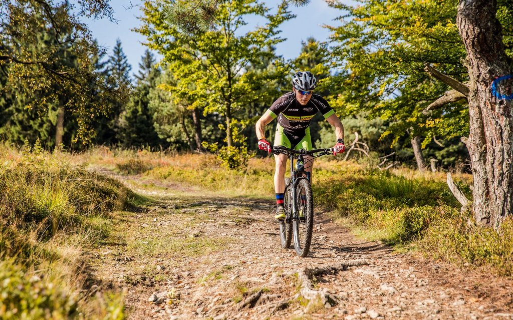Ein Mountainbiker fährt mit seinem Bike durch die Heidelandschaft.
