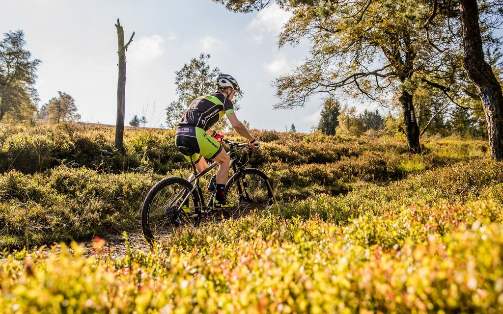 Ein Mountainbiker fährt mit seinem Bike durch die Heidelandschaft.