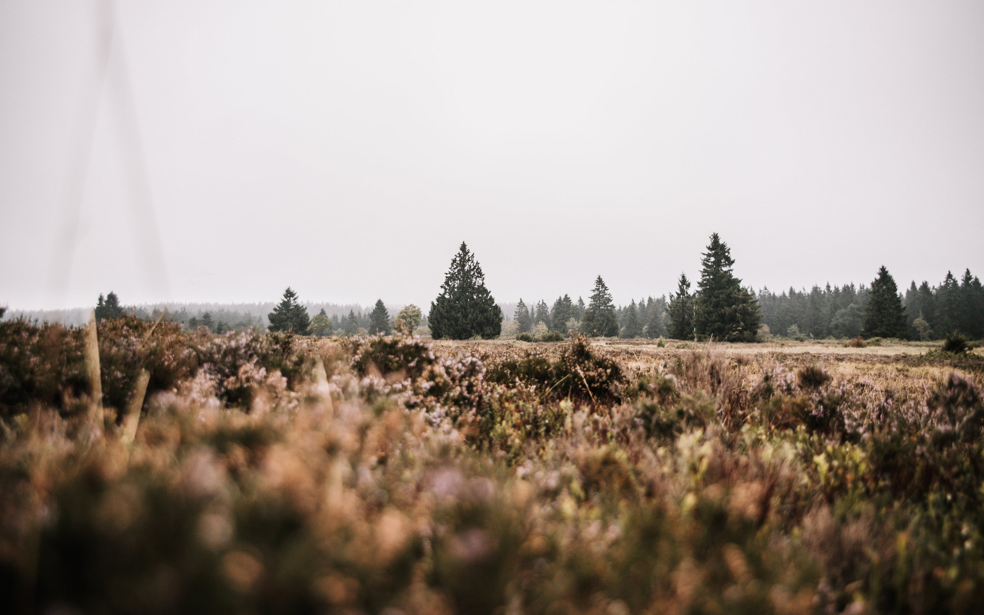Die Landschaft auf der Hochheide in Niedersfeld.