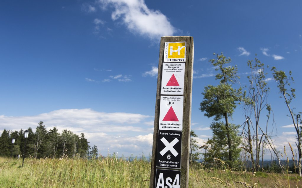 Ein Wegweiser mit verschiedenen Wanderwegschildern.