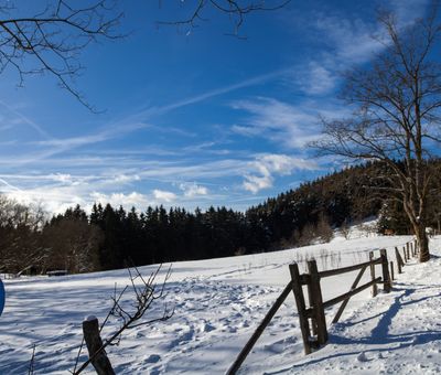 Ein Winterwanderschild an einem einem verschneiten Wanderweg, entlang einer Wiese