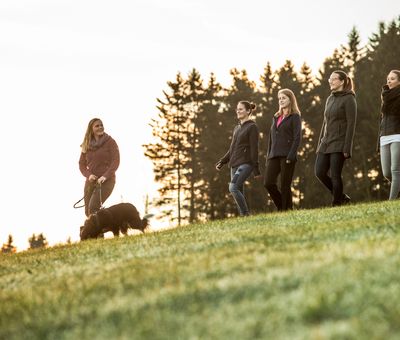 Fünf Frauen und ihr Hund wandern bei Sonnenaufgang auf einer Wiese