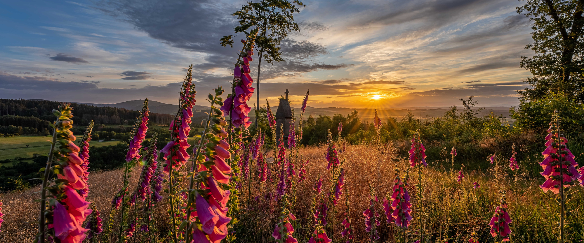 Der Kreuzberg in Winterberg mit Wiesen und Bäumen in der untergehenden Abendsonne.