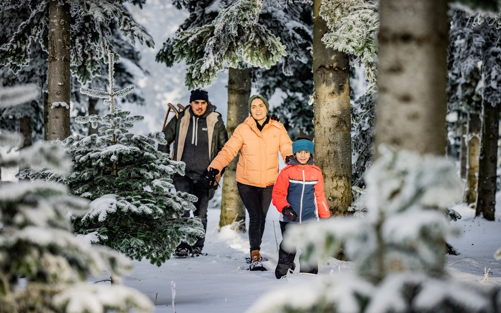 Eine Familie wandert durch den verschneiten Wald.
