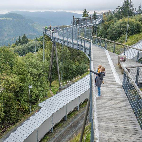Eine Person steht auf der Panorama Erlebnis Brücke und zeigt in die Ferne