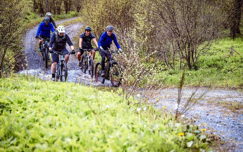 Fünf Männer, die auf Mountainbikes einen Waldweg entlang fahren.