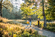 Eine Mutter geht mit zwei Kindern und einem Hund in herbstlicher Landschaft spazieren.