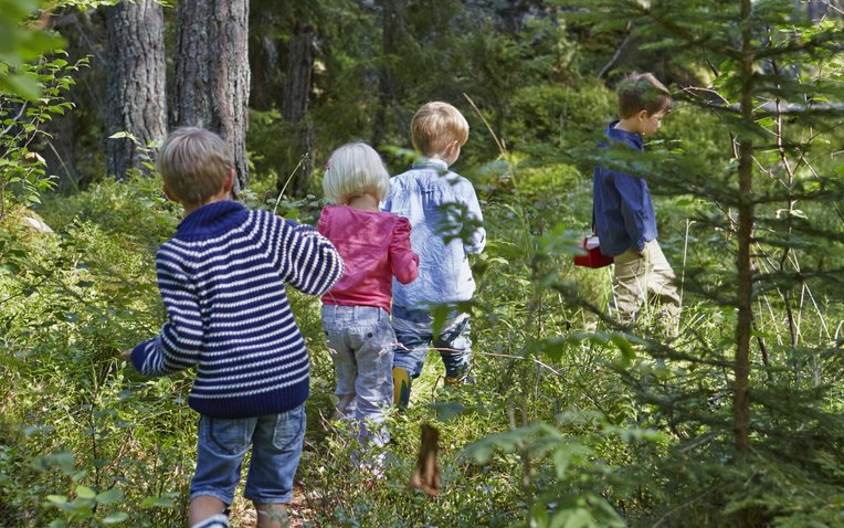 Vier Kinder wandern druch den Wald.