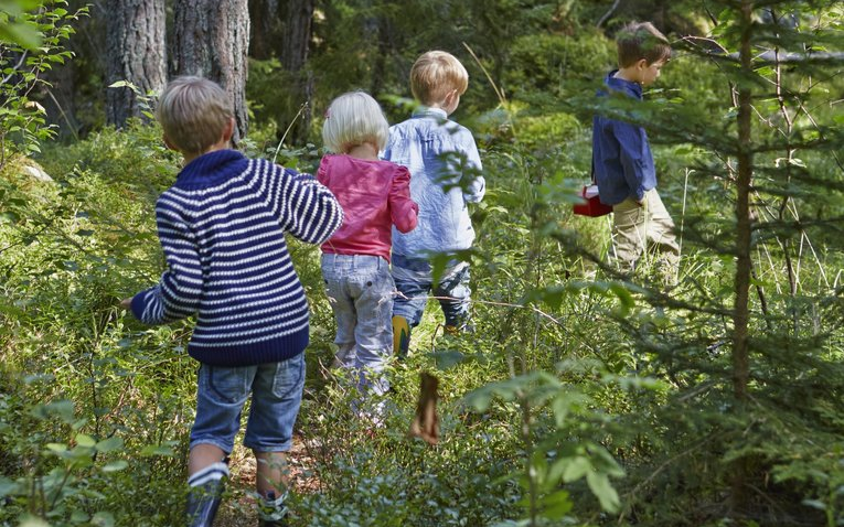 Vier Kinder wandern druch den Wald.