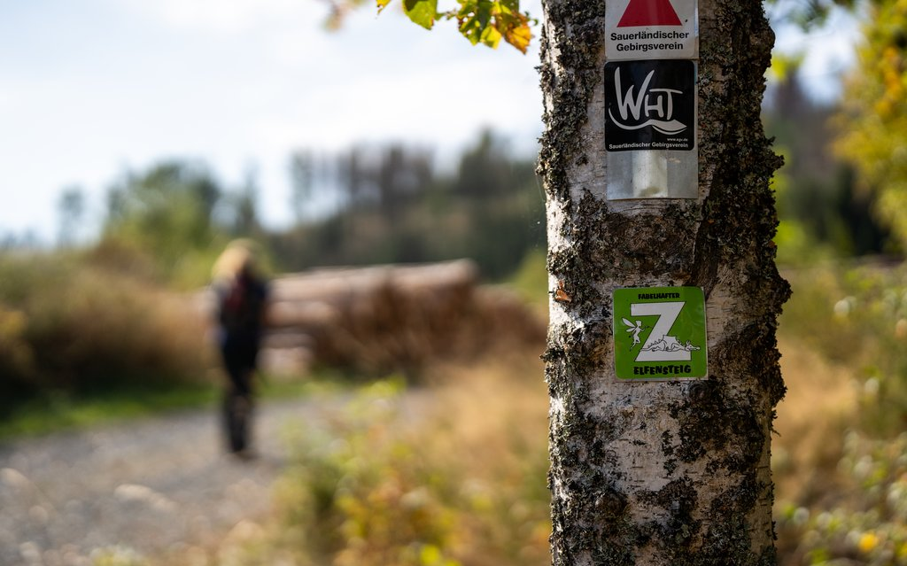 Das Symbol des Elfensteigs an einem Baum.
