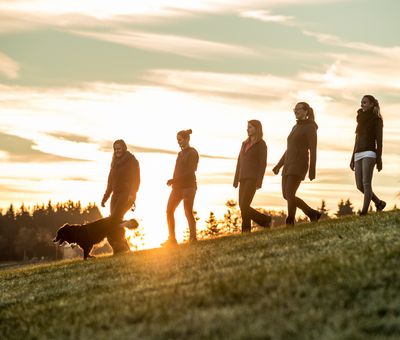 Fünf Frauen und ihr Hund wandern auf einer Wiese, im Hintergrund geht die Sonne auf