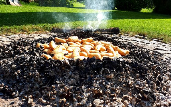 Kartoffeln in der Glut eines Buchenfeuers.