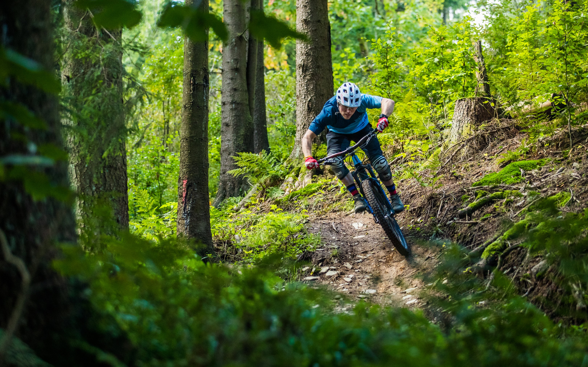 Ein Mann fährt mit seinem Mountainbike durch eine Kurve des Trailparks durch den Wald.