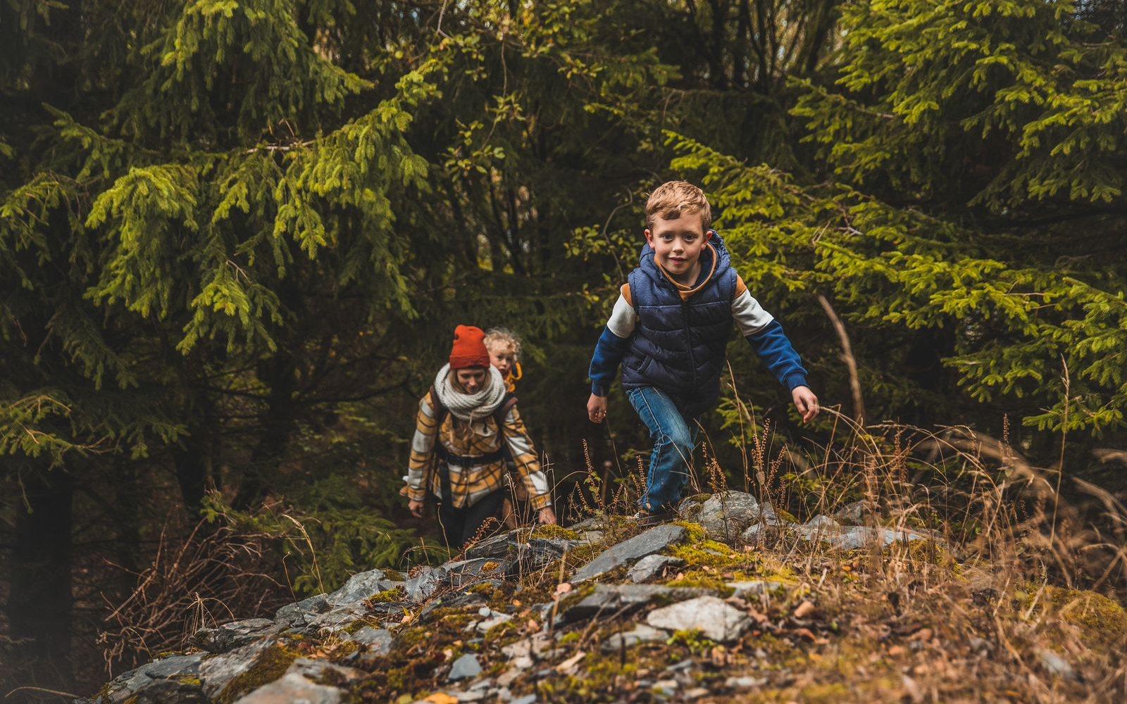 Eine Familie wandert durch den Wald einen kleinen Berg hinauf.