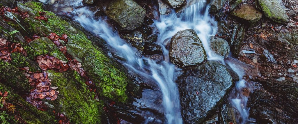 Nahaufnahme wie das Wasser eines Baches durch die Steine im Bachbett schlängelt 