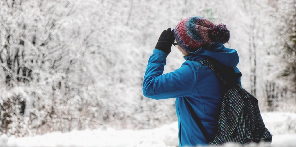 Eine Person steht in schneebedeckter Landschaft und hält nach etwas Ausschau.