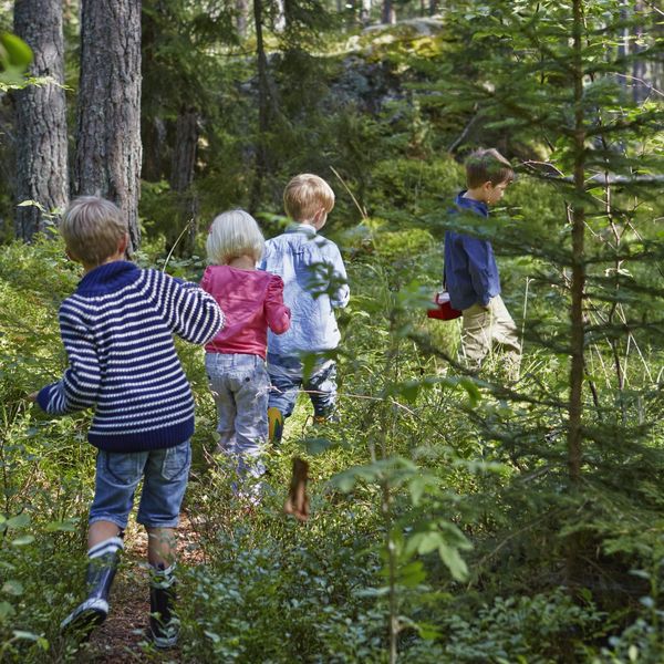 Kindergruppe spielt im Wald