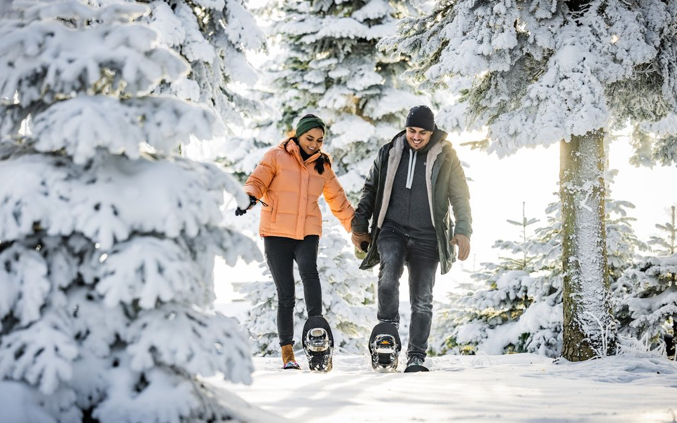Zwei Personen, die mit Schneschuhen durch den Wald wandern.