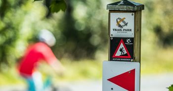 Schild mit einem roten Pfeil als Wegweiser im Trailpark